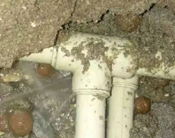 岑溪测漏水多少钱