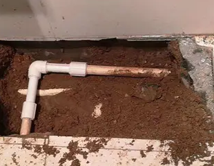 岑溪测漏水哪家好