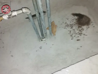 岑溪卫生间测漏水价格明细