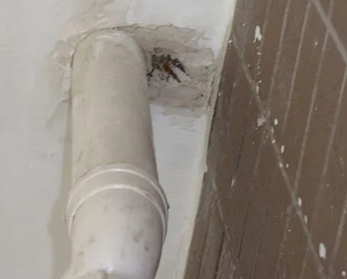 岑溪漏水检测哪家好